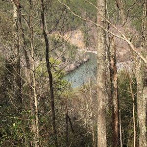 Meet your Posher, Levi